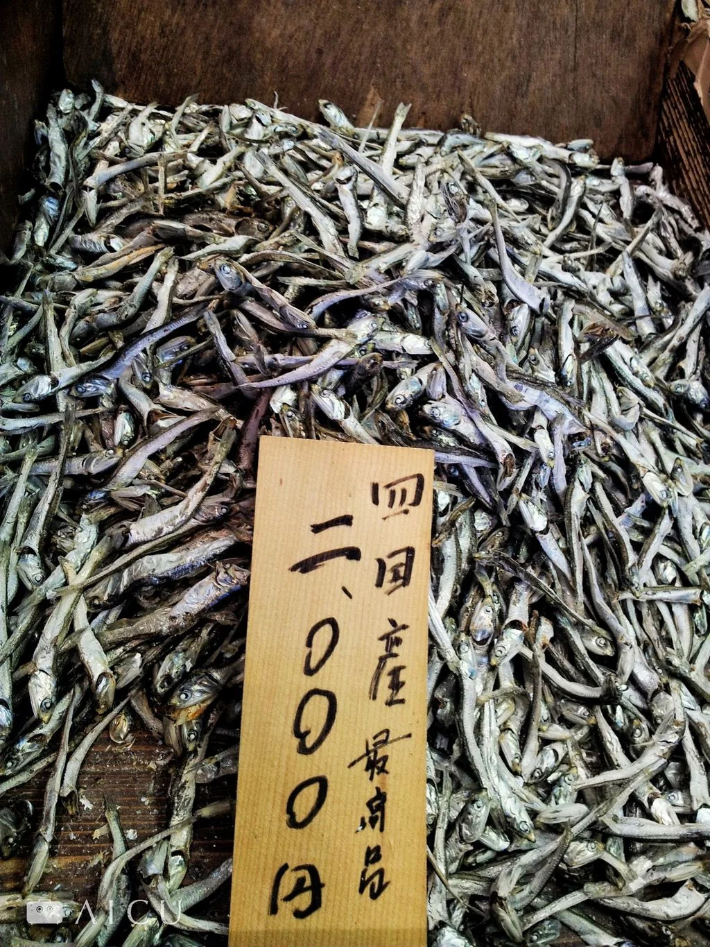 築地0023.jpg