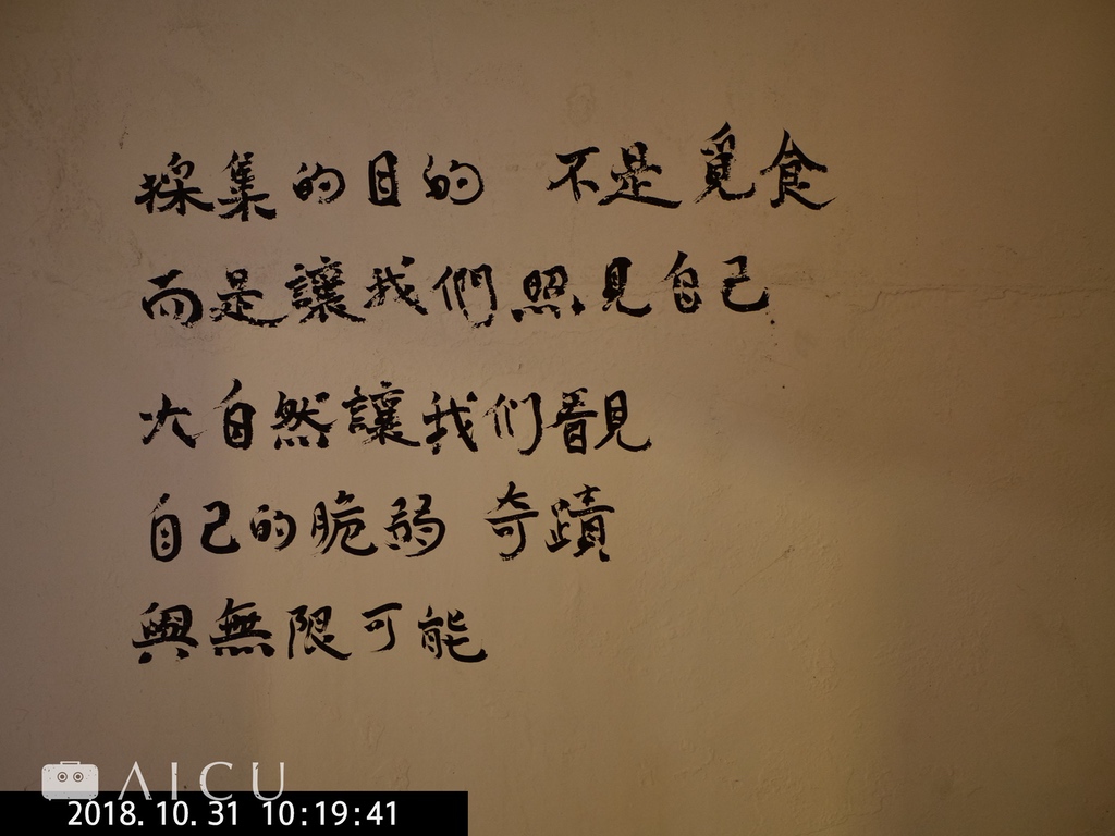 雜草稍慢31.jpg