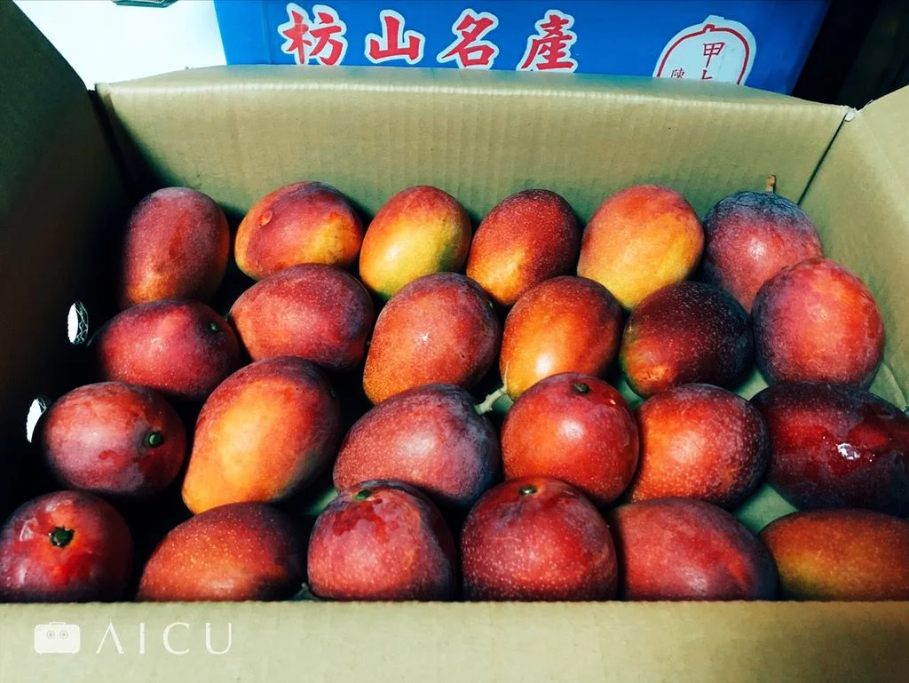 產地直送的芒果品級可自選,厚實有酸有甜。