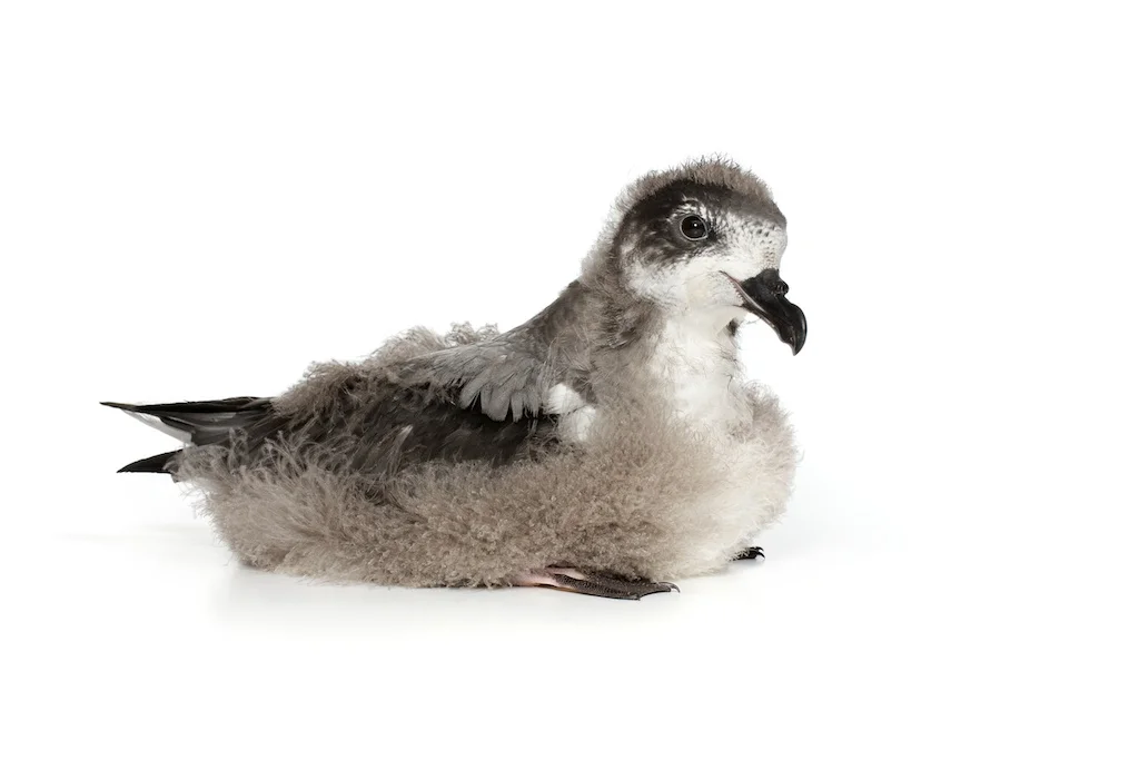 10 _J3A5969_1024.jpg