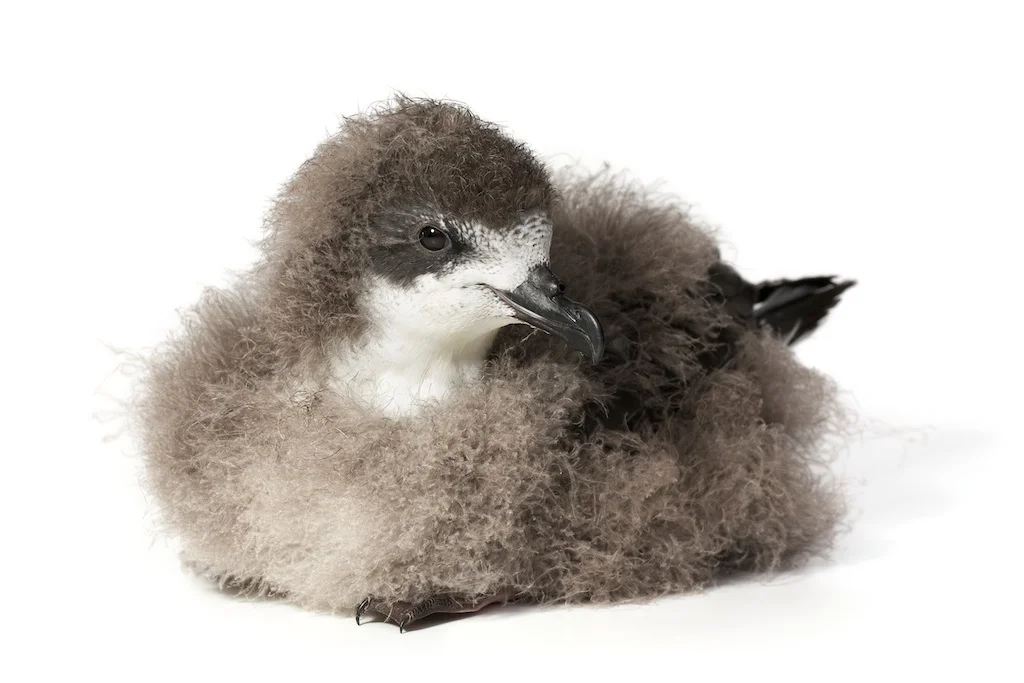 11 _J3A6263_1024.jpg