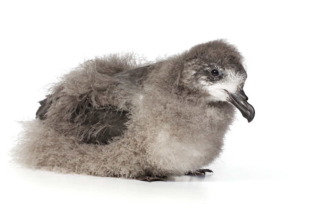 12 _J3A6573_1024.jpg