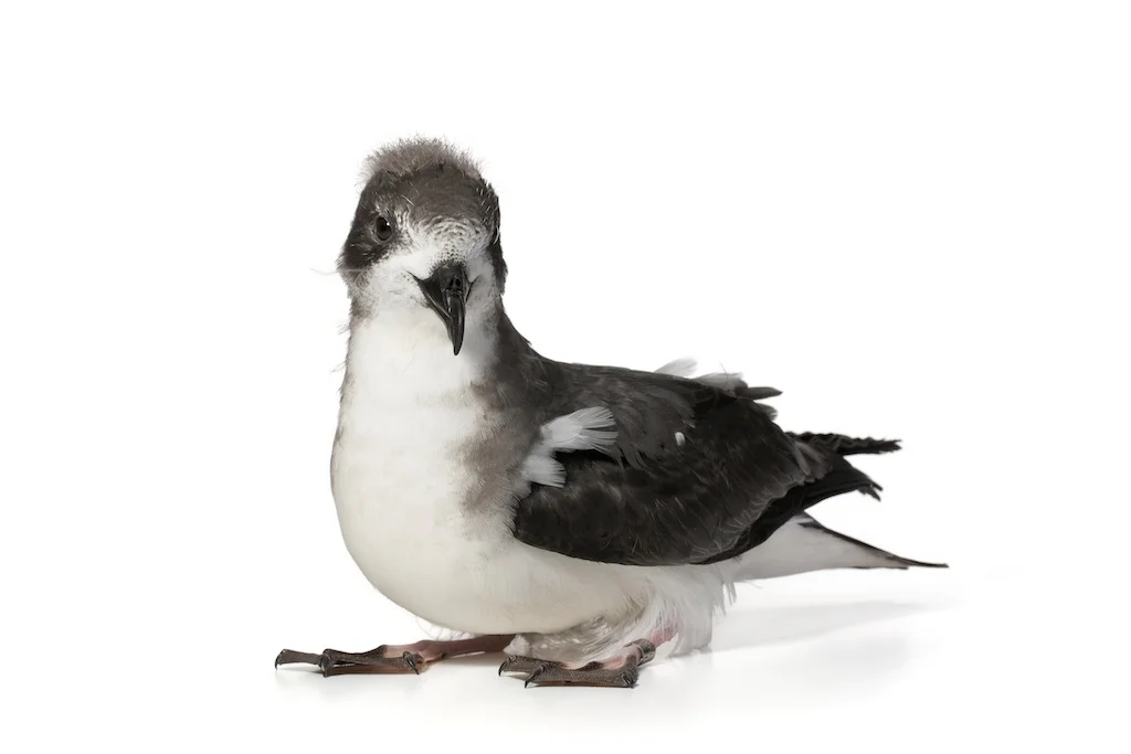 13 _J3A6596_1024.jpg