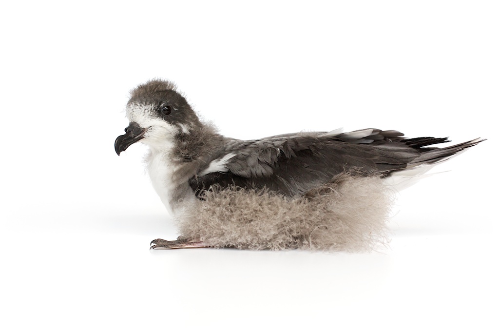 15 _J3A6010_1024.jpg