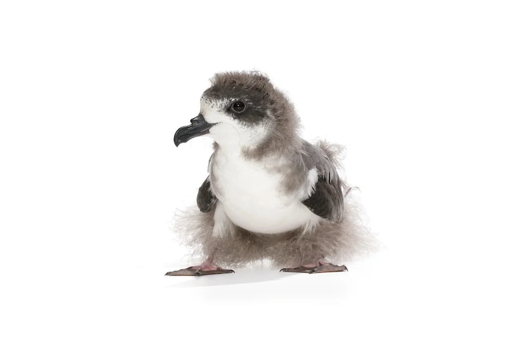 16 _J3A7329_1024.jpg