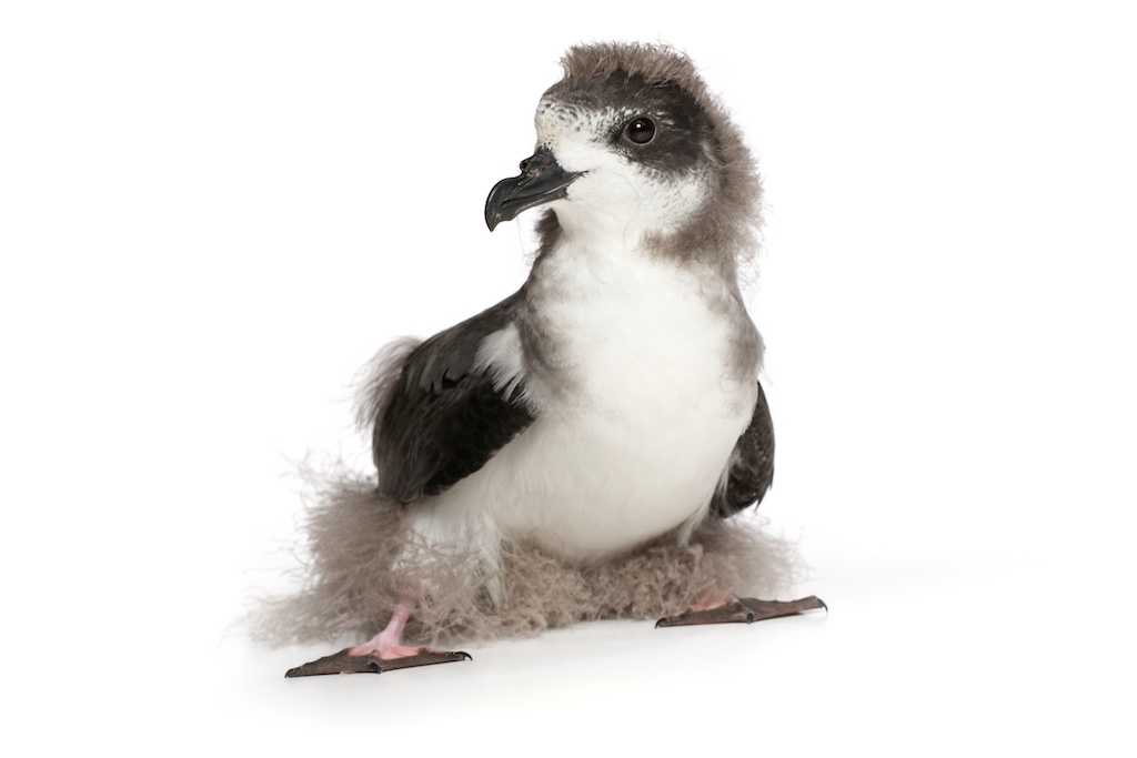 18 _J3A7341_1024.jpg