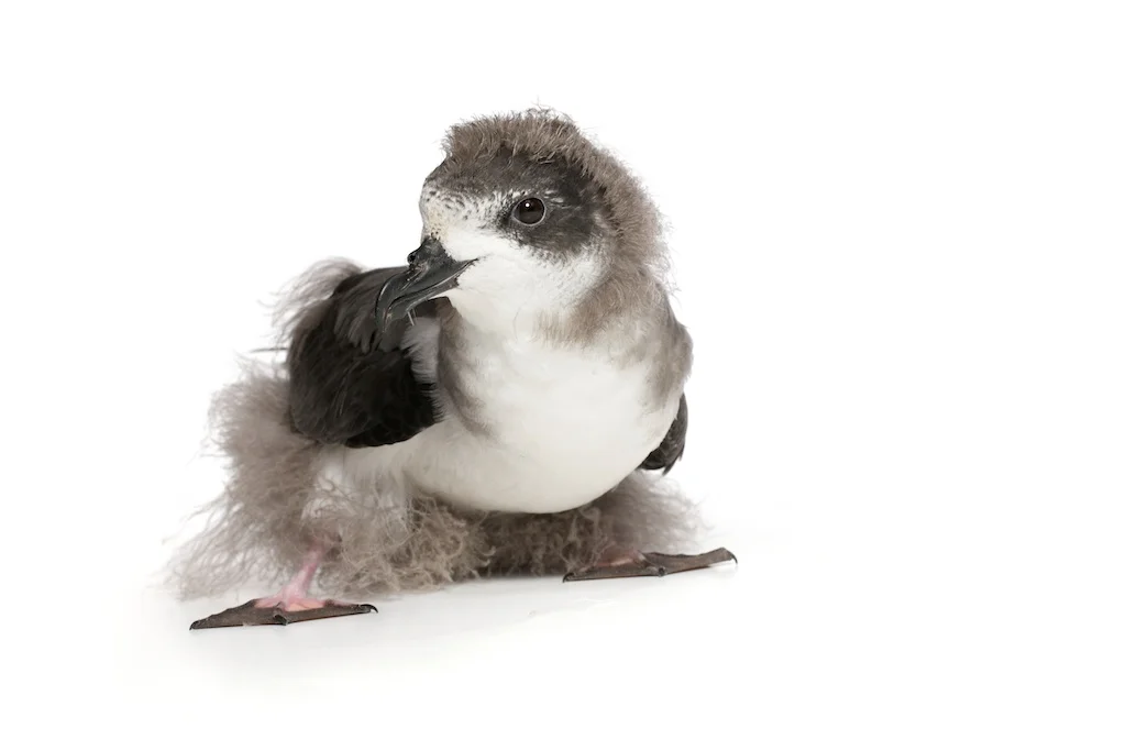 17 _J3A7340_1024.jpg