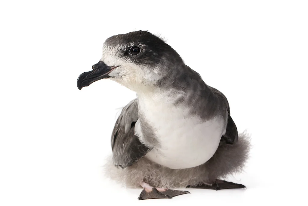 19 _J3A5386_1024.jpg