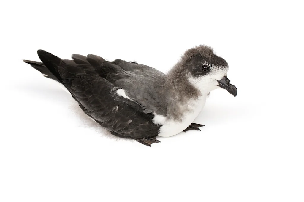 20 _J3A5871_1024.jpg