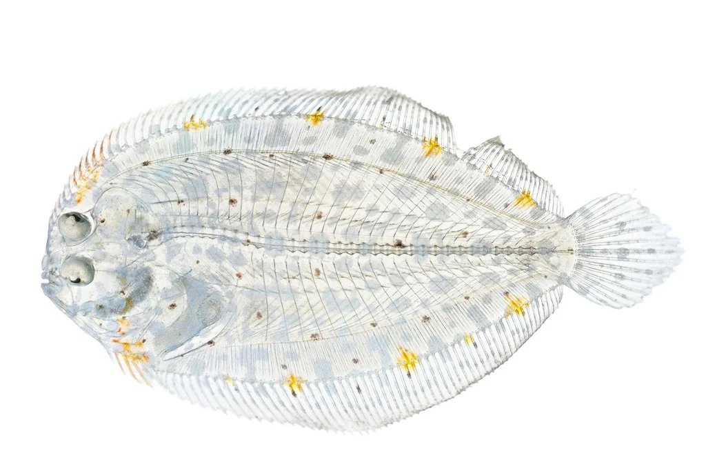 22 _J3A7471_1024.jpg