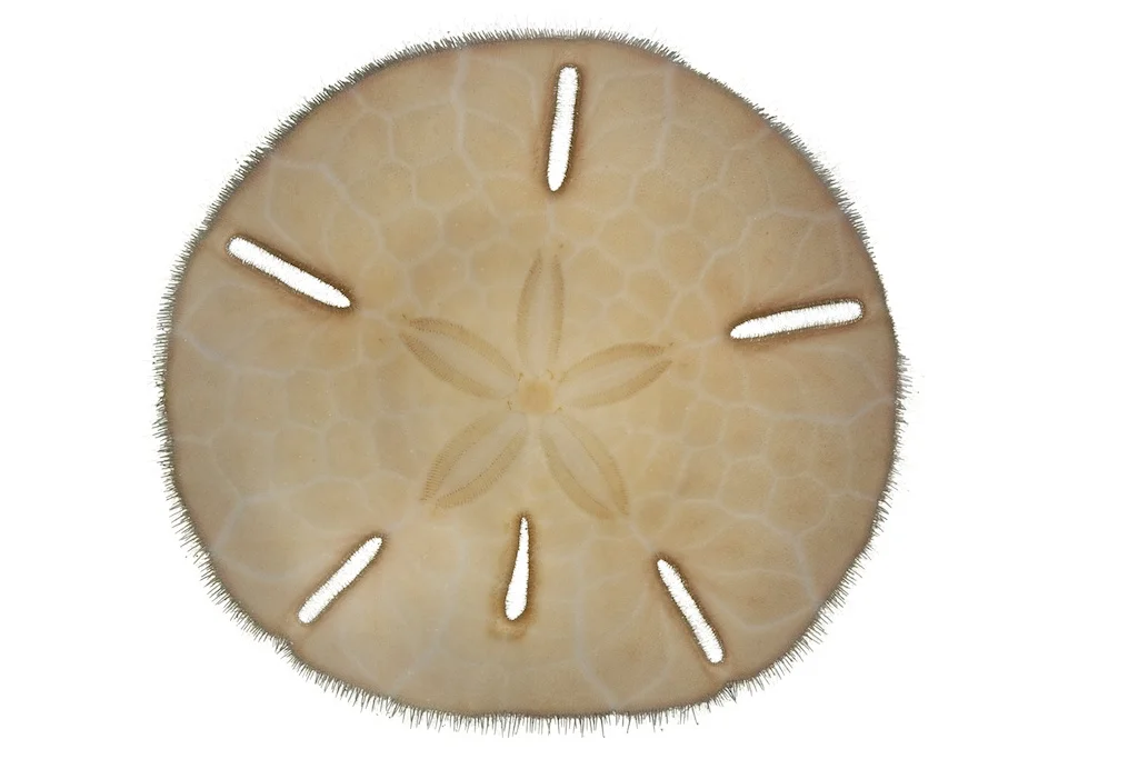 24 _J3A8345_1024.jpg