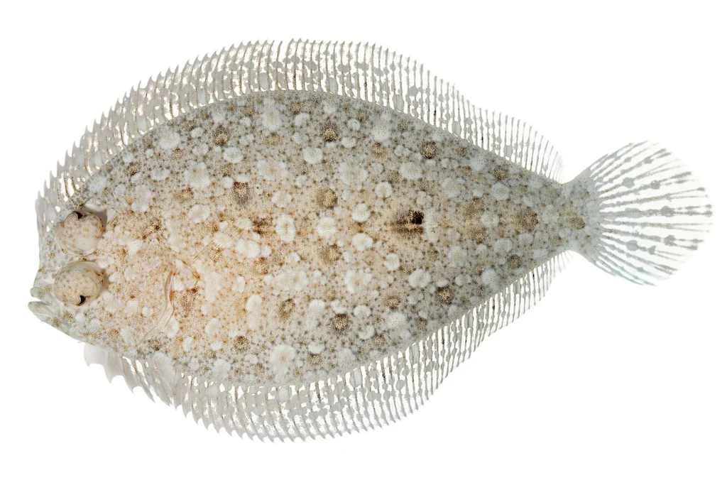 23 _J3A7869_1024.jpg