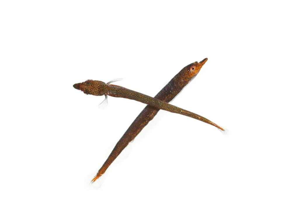 25 _J3A7650_1024.jpg