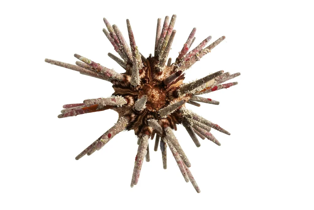 28 _J3A8557_1024.jpg