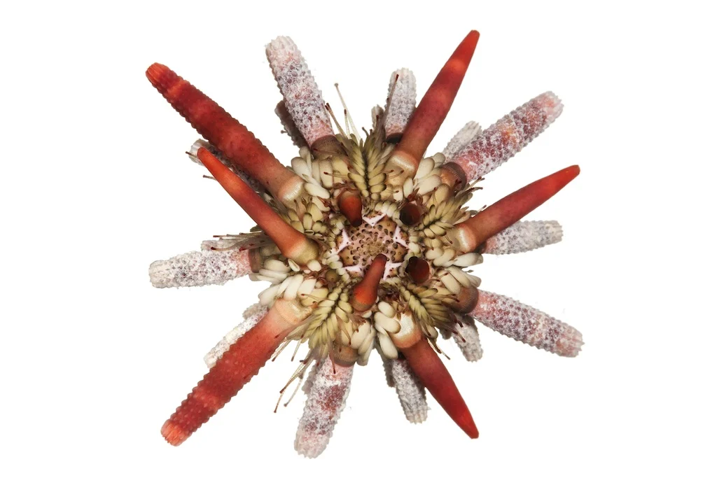 27 _J3A7307_1024.jpg