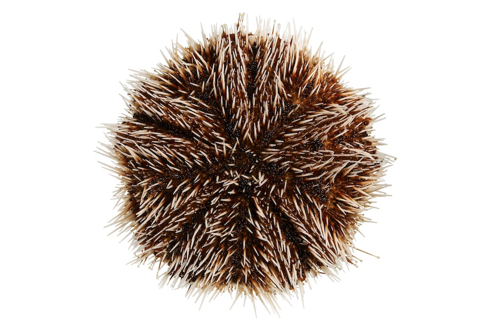 29 _J3A8636_1024.jpg