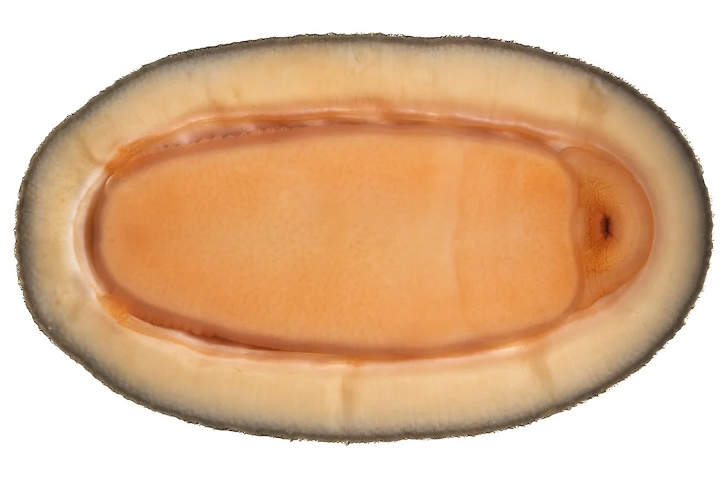 32 _J3A8734_1024.jpg