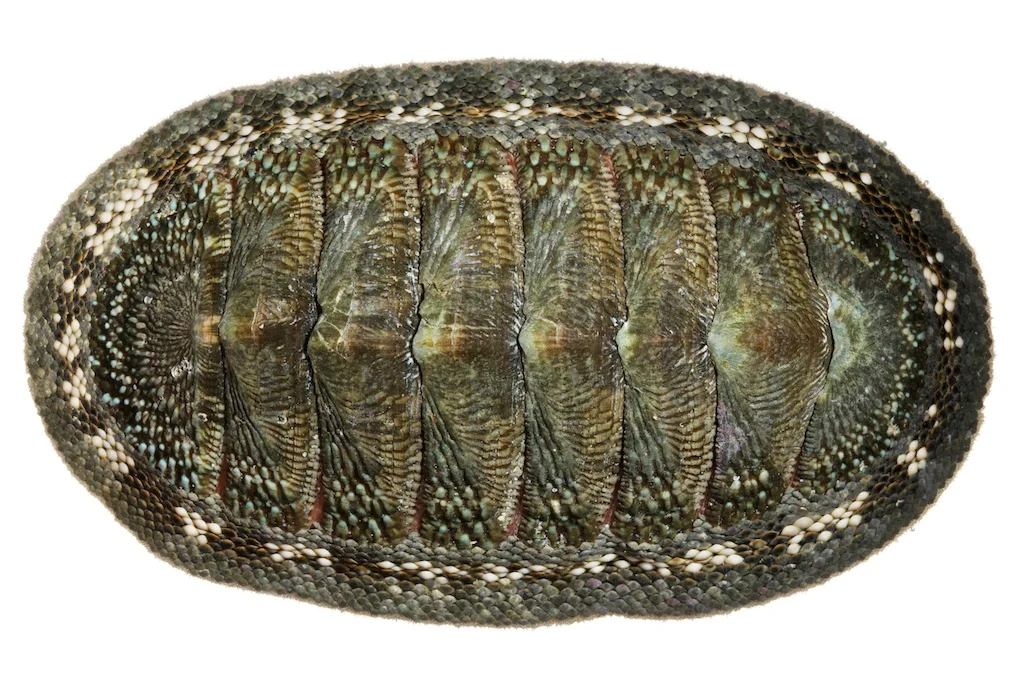 31 _J3A8710_1024.jpg