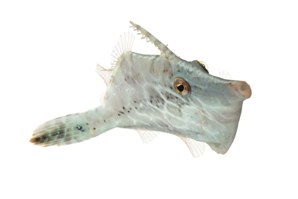 33 _J3A9240_1024.jpg