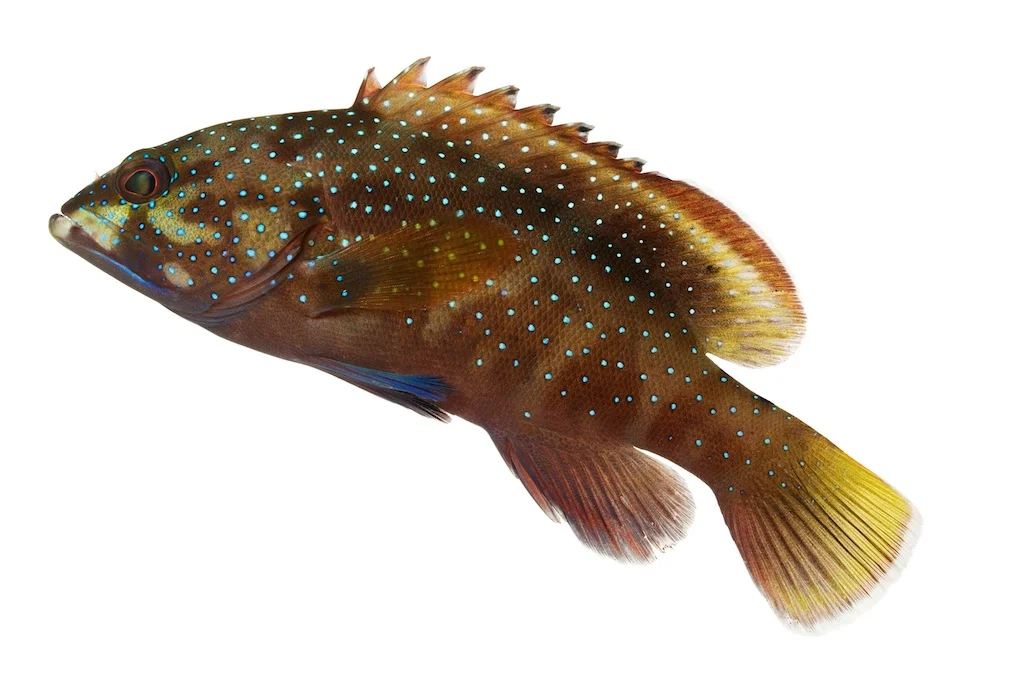 35 _J3A9672_1024.jpg