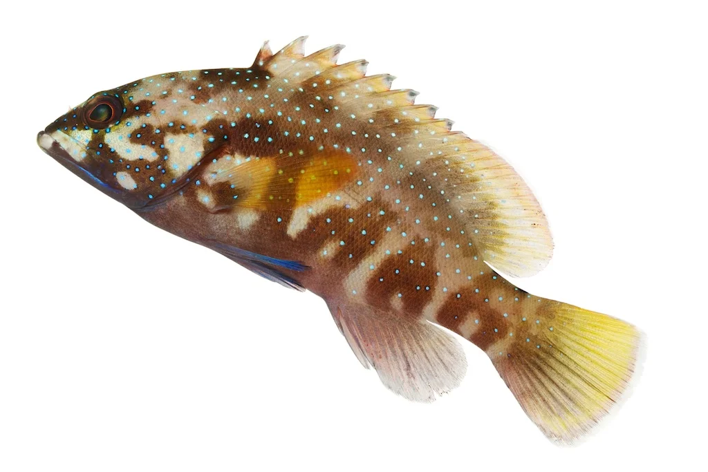 36 _J3A9673_1024.jpg