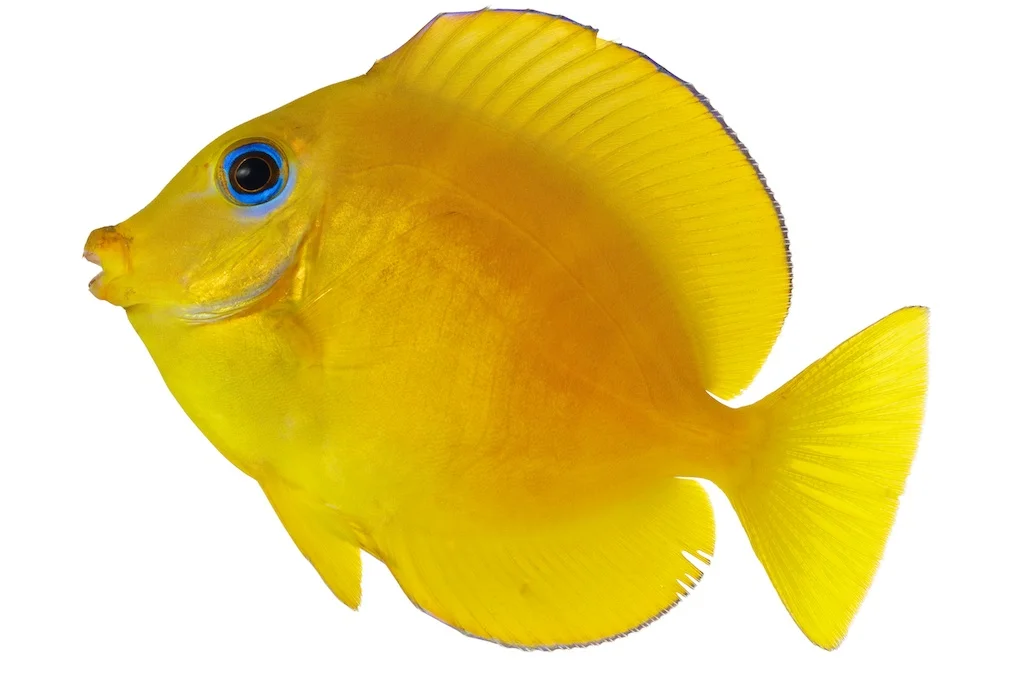 37 _J3A9978_1024.jpg