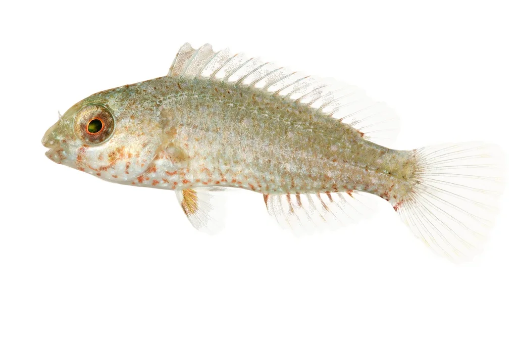 41 _J3A0497_1024.jpg