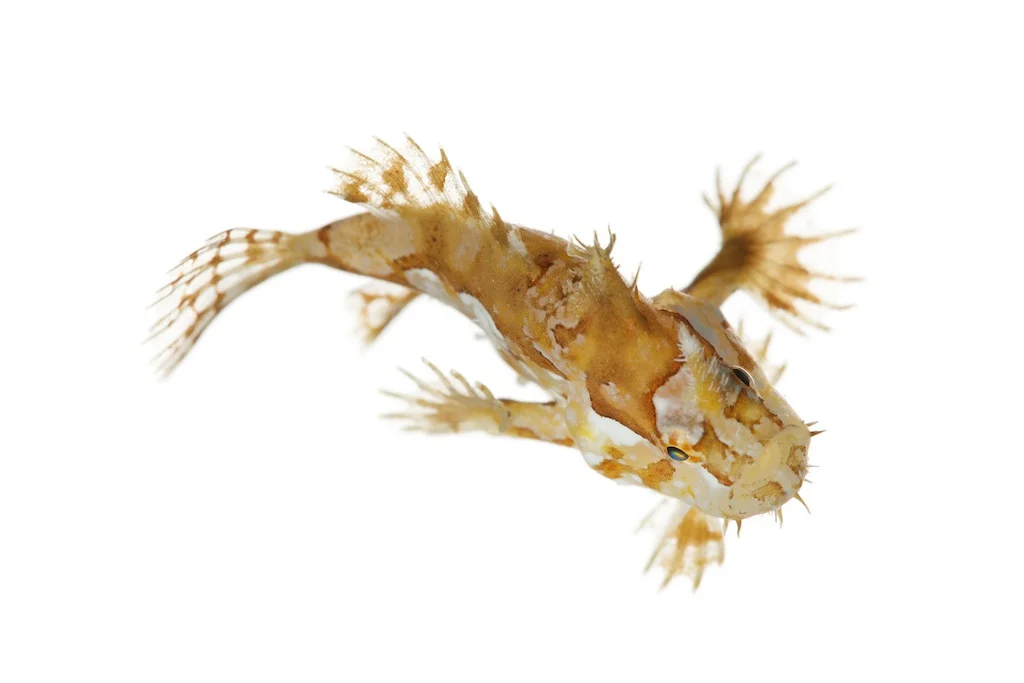 43 _J3A0719_1024.jpg