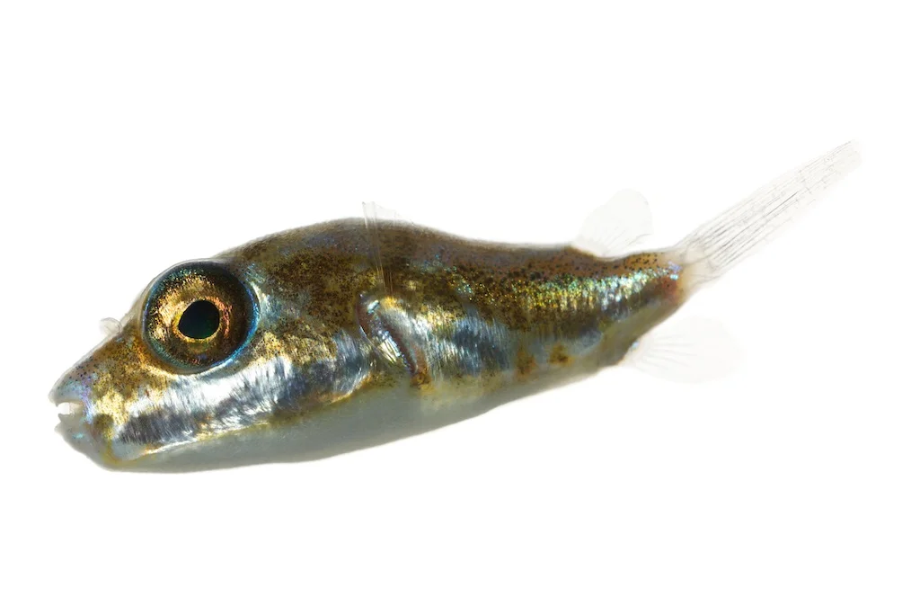 42 _J3A0687_1024.jpg