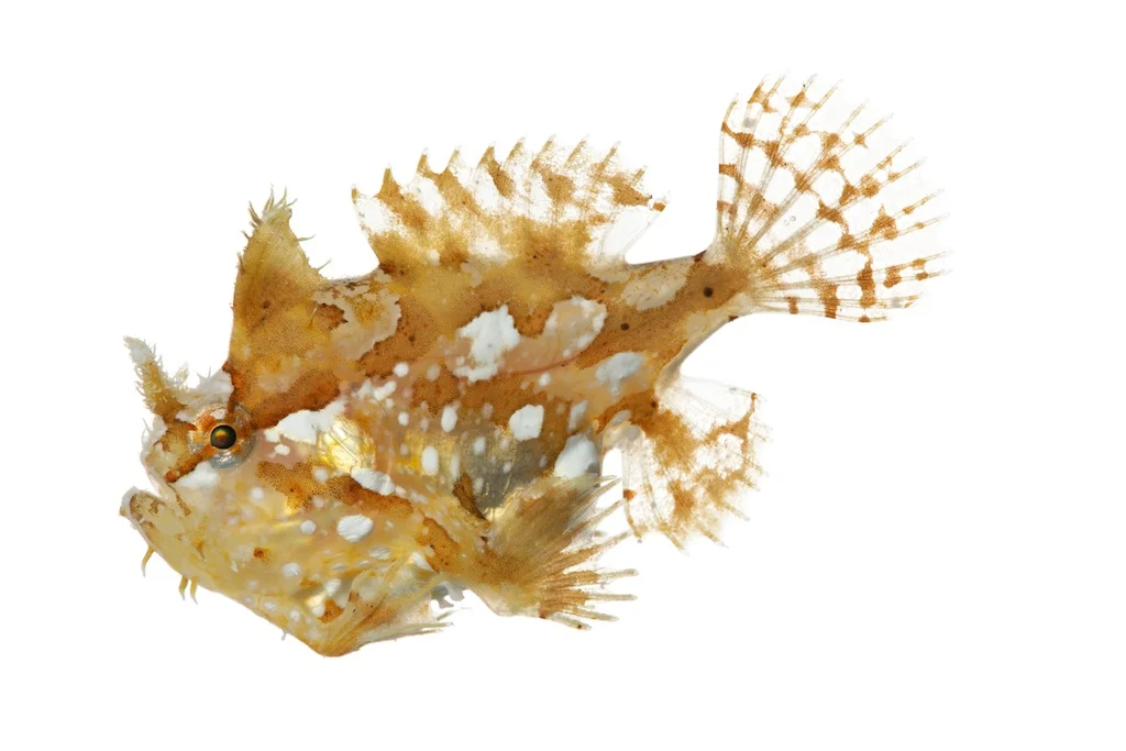 44 _J3A0833_1024.jpg