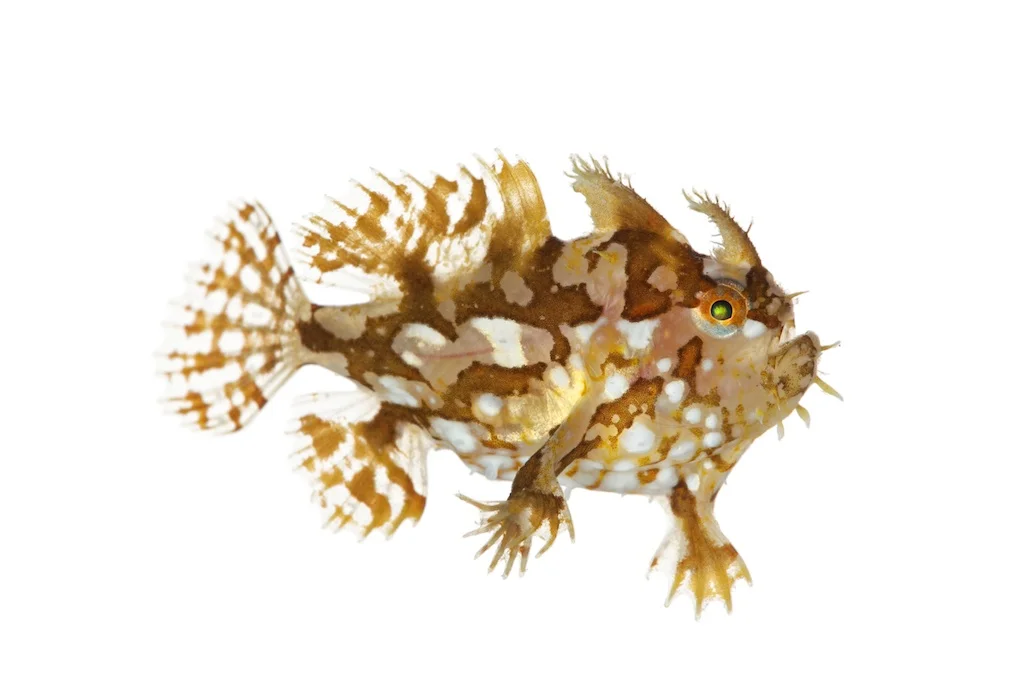 45 _J3A1024_1024.jpg