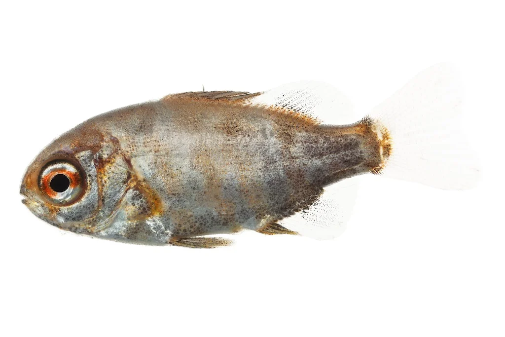 46 _J3A1100_1024.jpg