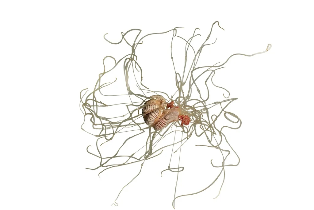 47 _J3A1369_1024.jpg