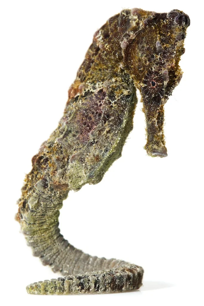 49 _J3A1880_1024.jpg