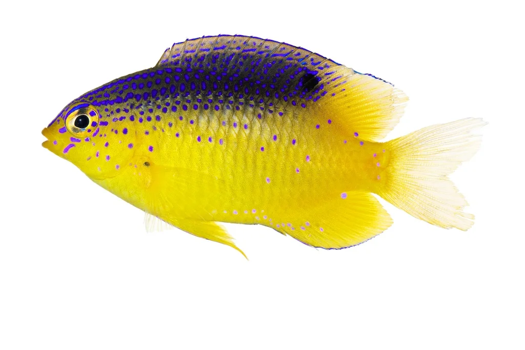 51 _J3A2359_1024.jpg