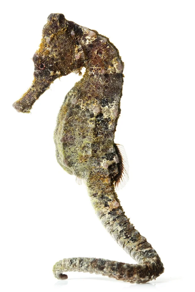 50 _J3A2279_1024.jpg