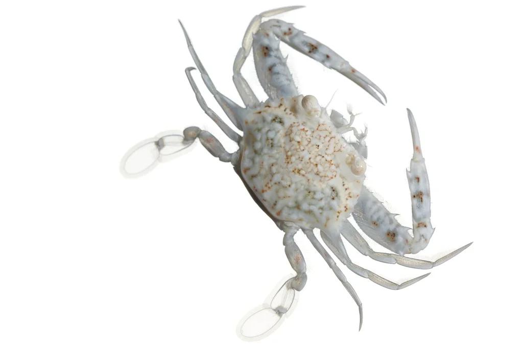 54 _J3A7551_1024.jpg