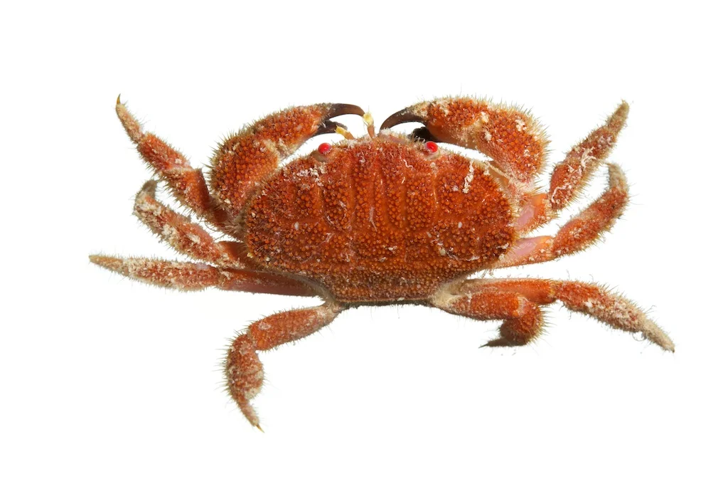 53 _J3A8302_1024.jpg