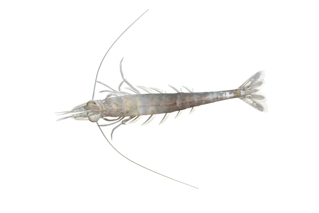 55 _J3A8192_1024.jpg