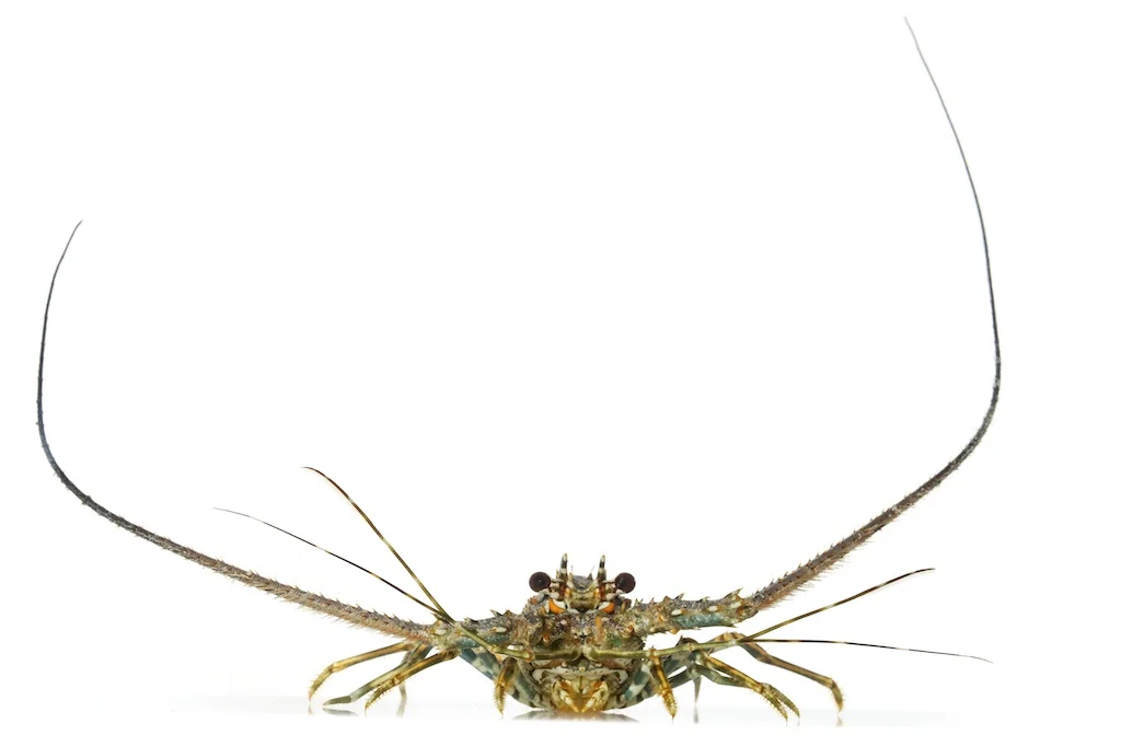 57 _J3A3725_1024.jpg