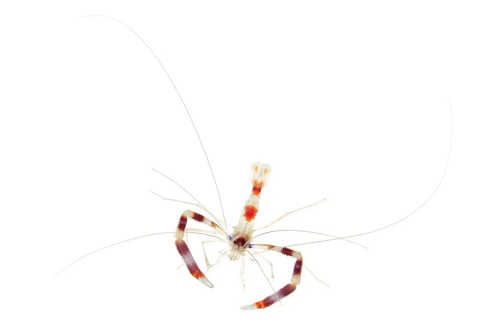 58 _J3A4129_1024.jpg