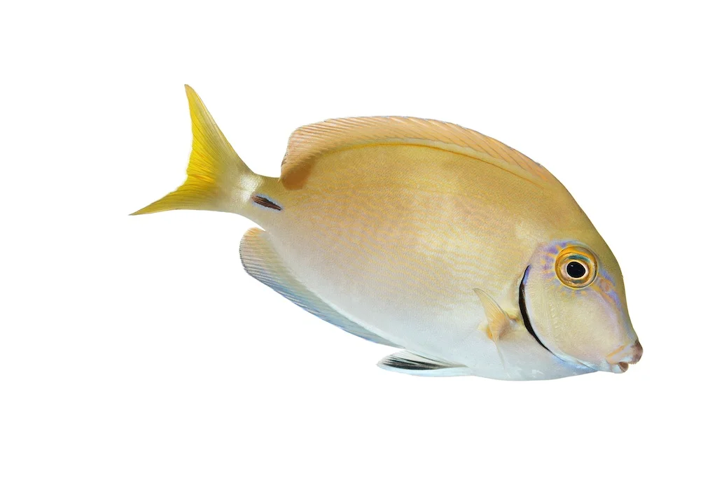 62 _J3A4676_1024.jpg