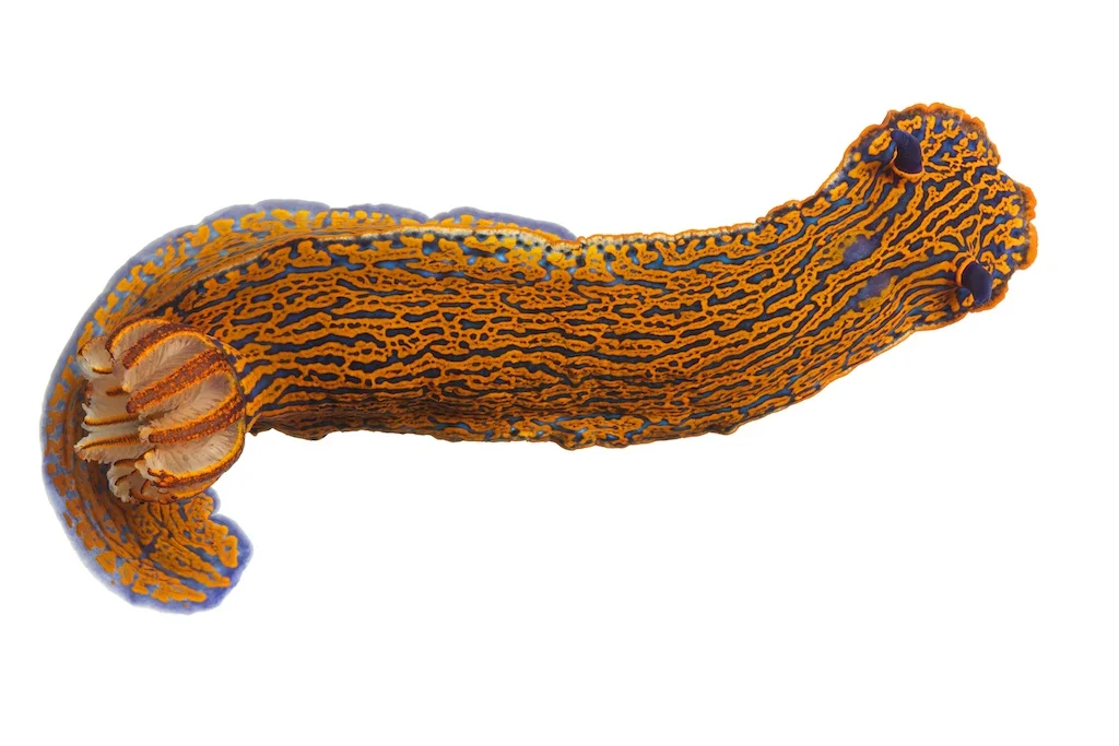 66 _J3A7428_1024.jpg