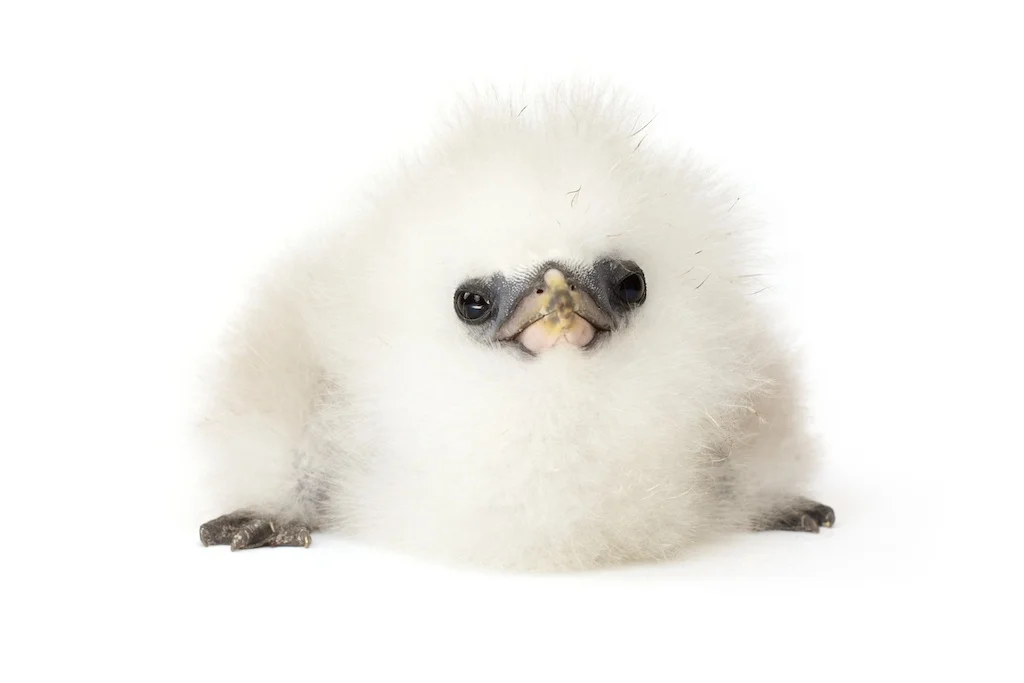 68 _J3A6368_1024.jpg