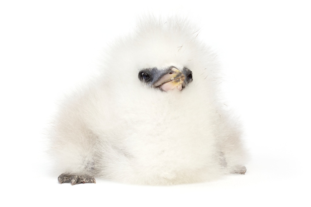 69 _J3A6418_1024.jpg