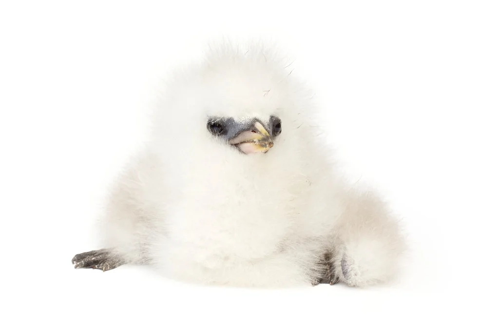 70 _J3A6436_1024.jpg