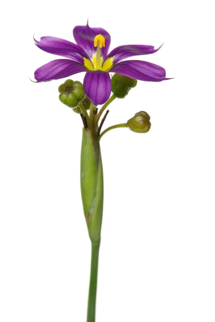 74 _J3A6496_1024.jpg