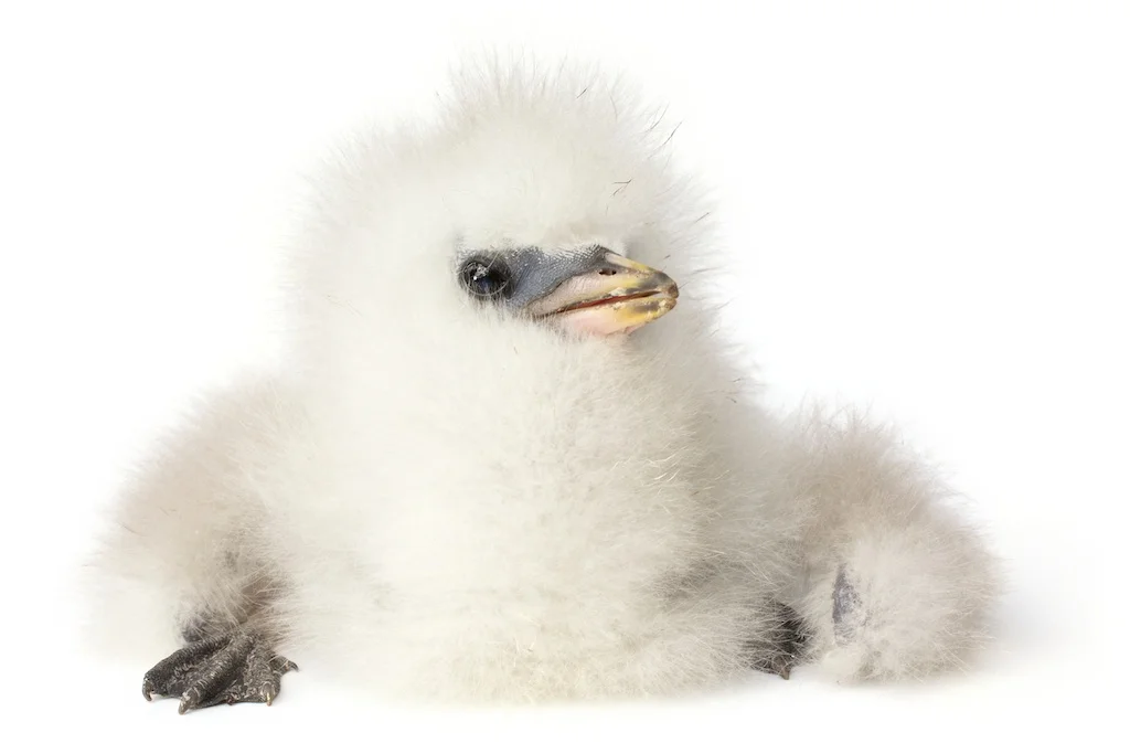 73 _J3A6600_1024.jpg