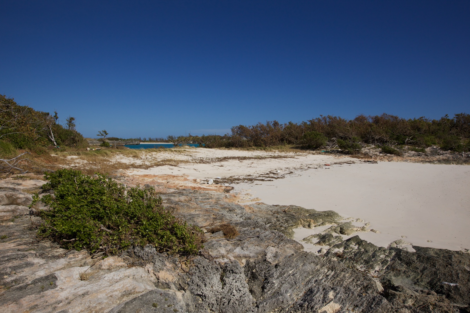 The beach was stripped of vegetation, though this may have protected the dunes that were wiped out in Fabian