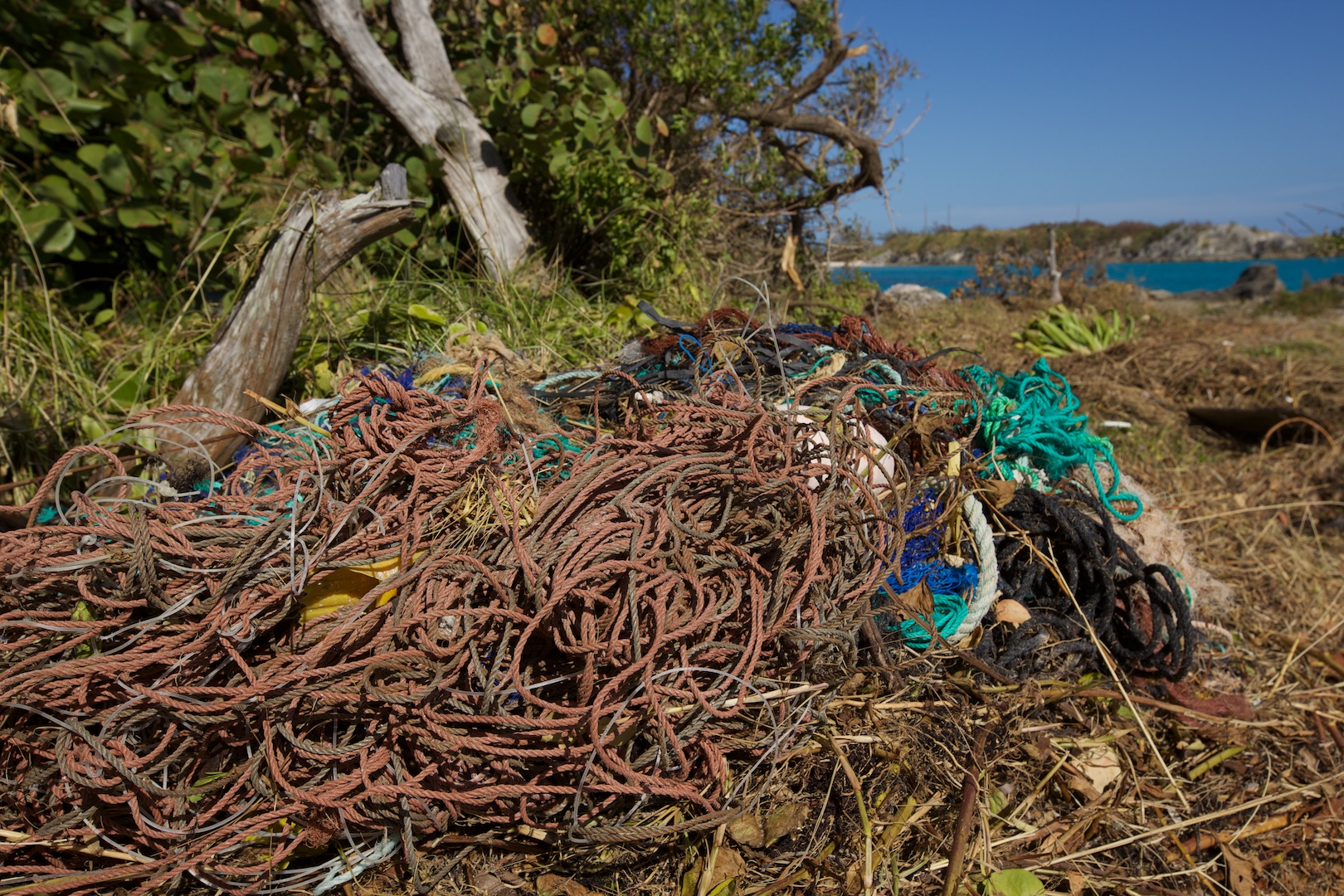  Longliner gear -&nbsp;and some people still think our waters don't need protection? 